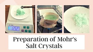 Mohrs Salt Crystal Preparation Chemistry Practical Class 12th  CBSE 2021  Bhatia mam Classes [upl. by Laeno582]