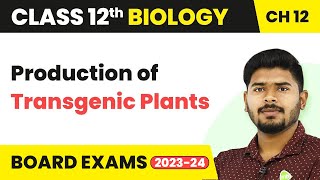 Production of Transgenic Plants  Biotechnology and Its Applications  Class 12 Biology 202223 [upl. by Helgeson]