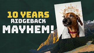 TEN Years Living With Rhodesian Ridgeback Mayhem [upl. by Pawsner323]