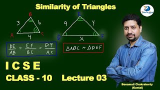 How You Can Master Similarity in Class 10 Maths  📚 [upl. by Ellehc509]