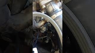 Nissan Navara d40 drive belt replacement [upl. by Hersch205]