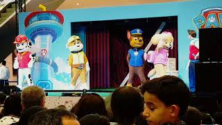 Paw Patrol The Big Rescue Show [upl. by Aehtla]