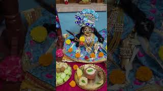 Radha ashtomi amar gopal sonar saju saju [upl. by Lamak412]