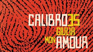 02 Calibro 35  Notte in Bovisa Record Kicks [upl. by Hpotsirhc745]