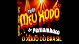 Banda meu Xodó de Pernambuco Vol02 Malvada [upl. by Olnay152]