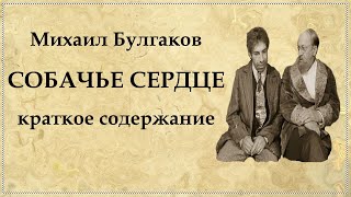 Собачье сердце краткое содержание по главам [upl. by Mignon]