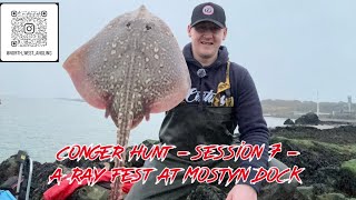 Conger Hunt  Session 7  A ray fest at Mostyn Dock [upl. by Griffis]