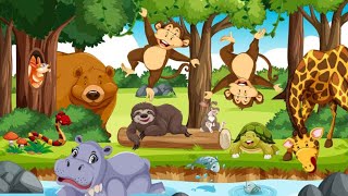 Jungle Ki Sher  cartoon video  cartoon [upl. by Cheryl262]