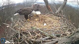 2024 Hanover Eagles drop stick on eggs [upl. by Adnarom]