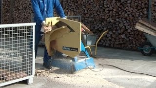 Wippsäge Brennholzsäge Scheppach WOX 600 im Einsatz firewood saw in action [upl. by Aenahs269]