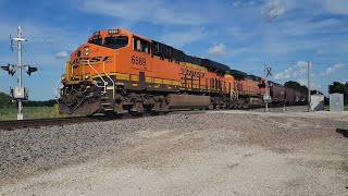 BNSF Grain Train near Jacksonville IL on June 12 2024 [upl. by Osugi990]