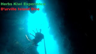 Durville Island Diving NZ [upl. by Duer]