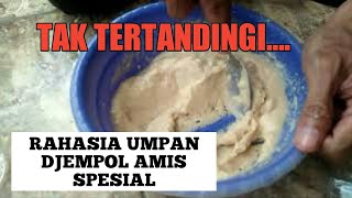 RAHASIA UMPAN DJEMPOL AMIS SPESIAL ft DJEMPOL PANDAN WANGI [upl. by Agata263]