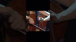 SolGabettaSaintSaënsCelloConcerto violin viralshorts jk2 [upl. by Nylavad349]