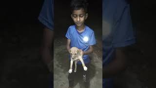 Thangame thangame song🥰cute puppies shortsdog lovers ❤️yarellam like and subscribe frnds [upl. by Swinton]