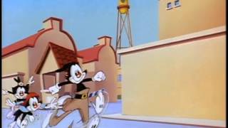 Animaniacs  S01E114 [upl. by Rovert317]