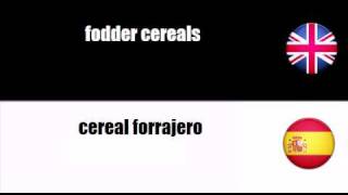 ENGLISH SPANISH cereals [upl. by Fredkin666]