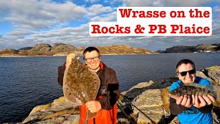 Wrasse on the Rocks and a PB Plaice [upl. by Latrell]