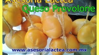 Elaboración de Queso Provolone [upl. by Kela]