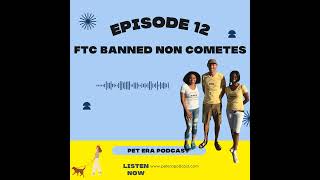 Ep 12 FTC Ditches NonCompetes [upl. by Bonney]