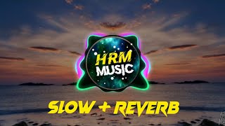 Bibash JK  Angalo  Slow  Reverb New Song [upl. by Tonya]