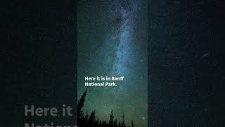 Perseid meteor shower lights up sky in Banff National Park shorts [upl. by Twila]