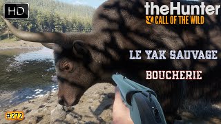 THE HUNTER CALL OF THE WILD 272 UNE BOUCHERIE SUR LE YAK SAUVAGE  SUNDARPATAN NEPAL 2024 [upl. by Neeleuqcaj]