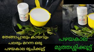 തേങ്ങാപ്പാലും കായവും ചോറുണ്ണാൻ ഇത് മതി  Coconut Milk Rasam  Thengapal Rasam Nadan Ozhichu Curry [upl. by Saleem]