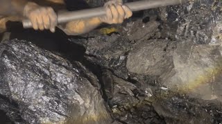 What Coal Miners Dont Want You To Know shorts shortvideo [upl. by Laryssa]