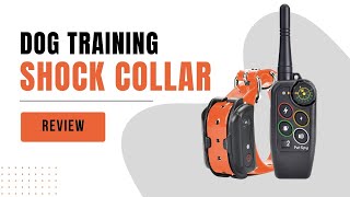 PetSpy Premium Dog Training Shock Collar  Review [upl. by Iz17]