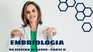 Embriologia do Sistema Nervoso  Parte 2 [upl. by Llenna]