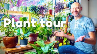 My House is FULL of Gorgeous Plants Plant Tour [upl. by Inal]