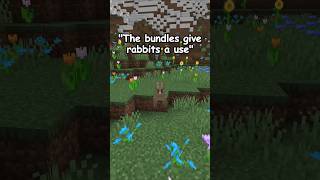 When Minecraft gives rabbits a use [upl. by Haeel462]