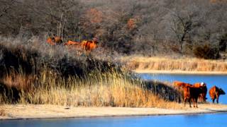 Skipout Lake Recreation Area [upl. by Rior620]