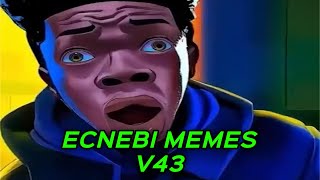 ECNEBI MEMES V43 [upl. by Nottirb901]