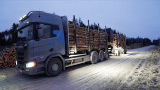 Loading Pine Pulpwood with the new Truck next to the military zone [upl. by Etteloc380]