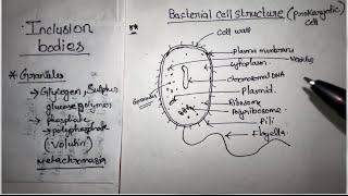 Unit 2 Bacteria Cell Structure  BSc Botany 1st Semester notes Gauhati University [upl. by Okubo]