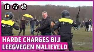 Schoten politiepaarden en waterkanon bij protest Malieveld [upl. by Arawaj]