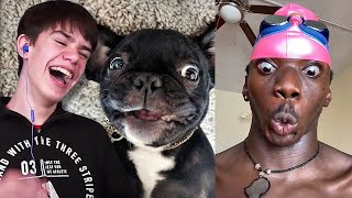 Try Not to Laugh Challenge  Funniest Tik Tok Edition [upl. by Devine]