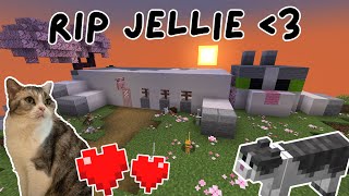 How Jellie Became a Household Name Tribute to Jellie [upl. by Innej]