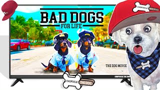 Bad Boys but Wiener Dogs  Reaction Cute and Funny Movie Parody [upl. by Gelb]