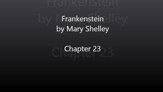 Frankenstein by Mary Shelley  Chapter 23 Audiobook [upl. by Placidia694]