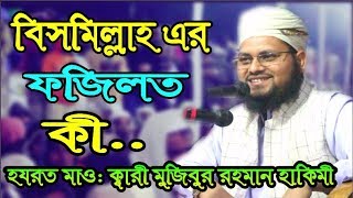 Bismillah Ar Fojilot Ki New Bangla Waz 2019 Mawlana mojibor Rahman Hakimi01747112621 [upl. by Akcimat]