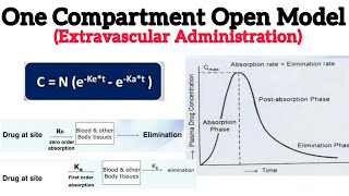 One Compartment Open Model Extravascular Administration [upl. by Nirrej786]