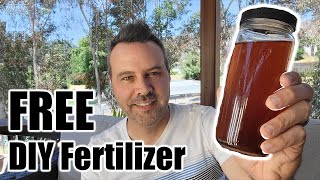 What I Use instead of Miracle Gro plus Free HomeMade Fertilizer [upl. by Mattie]