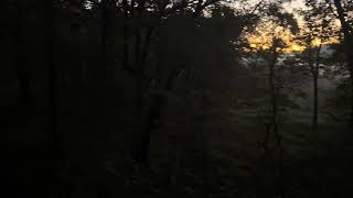 Opening morning duck hunting Indiana WMA [upl. by Upton]