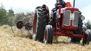 Bukh 452 Super Raking Straw w Vicon Acrobat Hayturner  Old Timers  DK Agriculture [upl. by Heyman371]