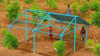 Real Quick Building of Shed with SheetMetal for Roof  Making Shed for Cow Cattle amp Goats in 3 days [upl. by Nomed813]