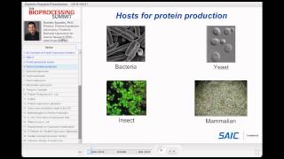 Protein Expression in NonMammalian Host Systems  E coli amp Yeast [upl. by Susana]