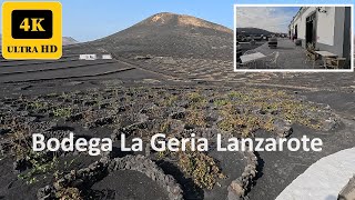 Bodega La Geria winery in Lanzarote Canary Islands Spain 4K Walking [upl. by Anner]